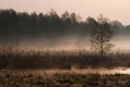 078_Biebrza - kwiecien 2012